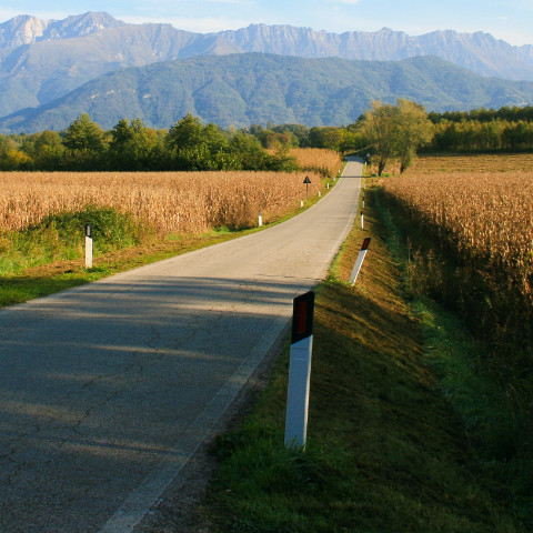 Vinos de Friuli Venezia Giulia