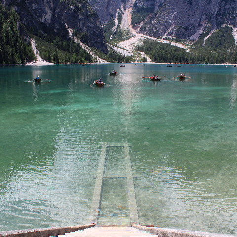 Vinos de Trentino Alto Adige