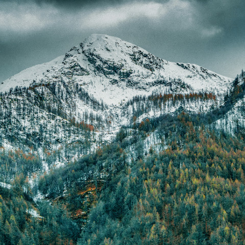 Vino de Valle d'Aosta